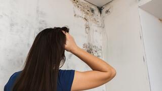 אילוסטרציה