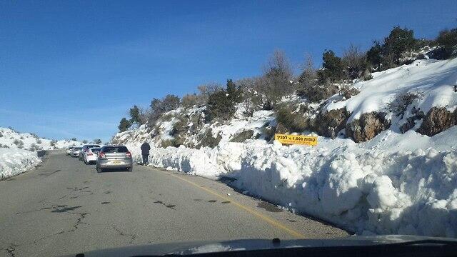 Фото: Эяль Грейди