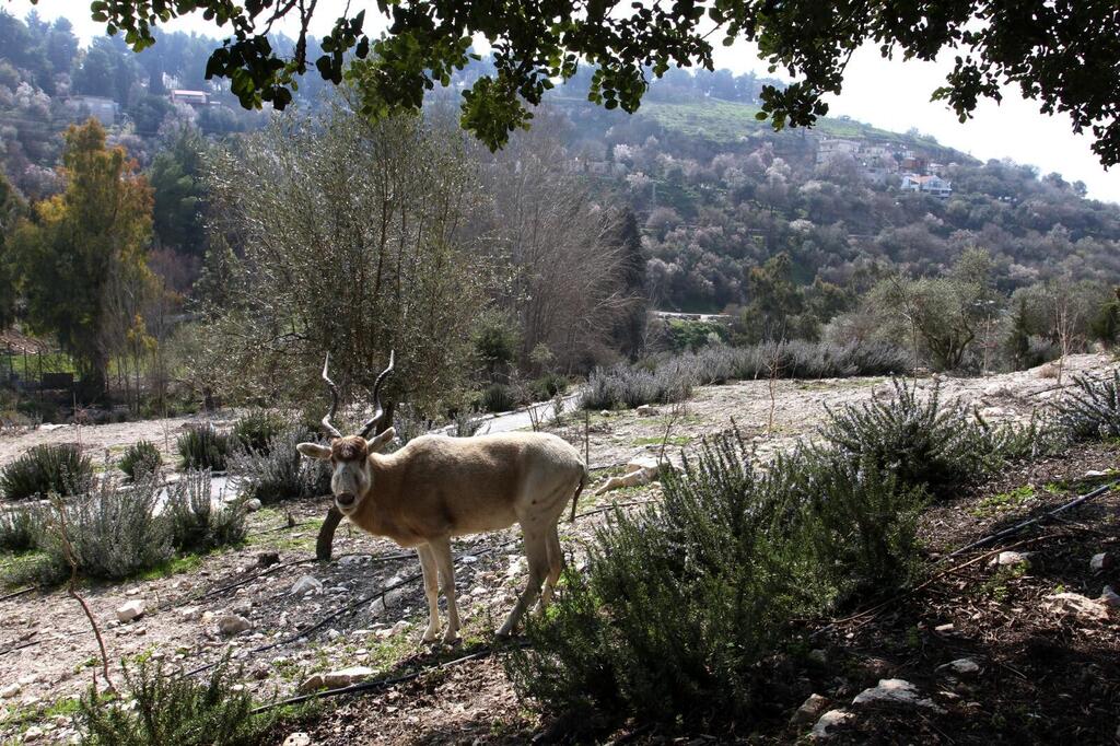Фото: пресс-служба ККЛ (Фото: пресс-служба ККЛ) Фото: пресс-служба ККЛ