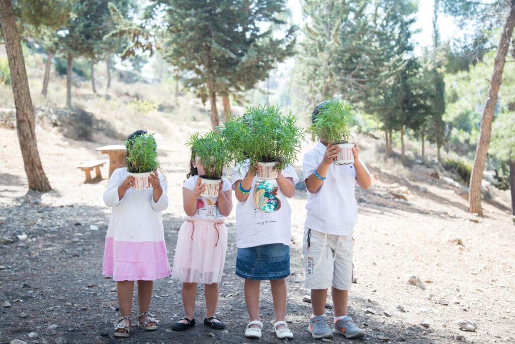 Фото: Наоми Адари, ККЛ (Фото: Наоми Адари) Фото: Наоми Адари, ККЛ