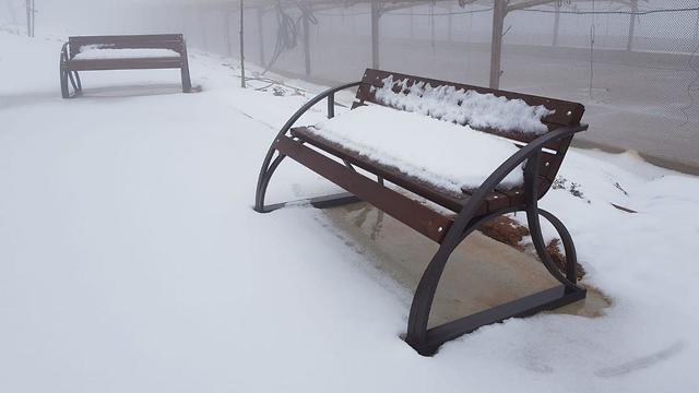 Snow in Gush Etzion