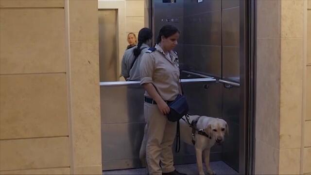 Хила с Нильсомnullnull Хила с Нильсом