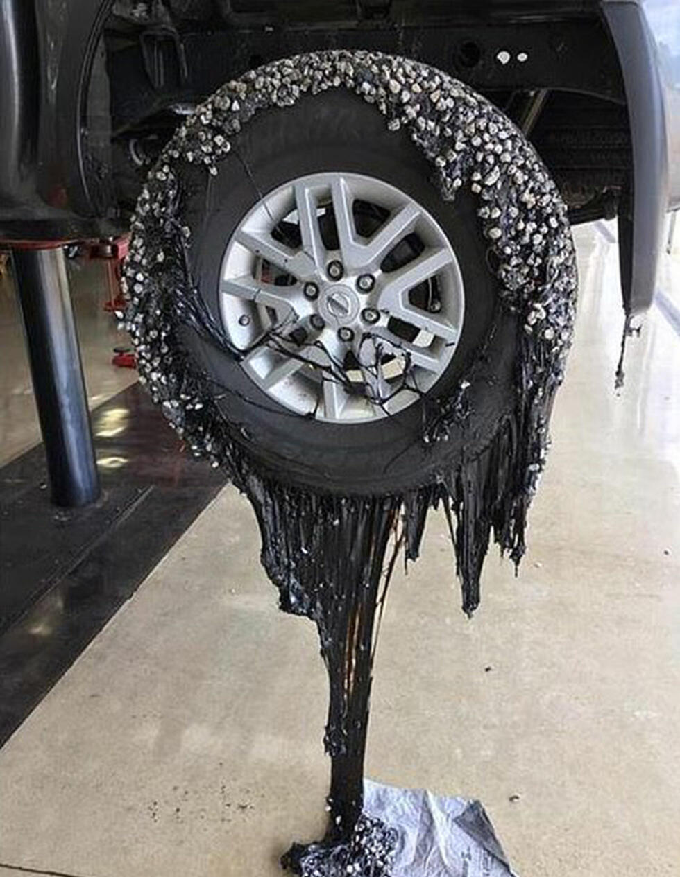 Лето в Австралии