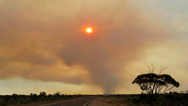 Экстремальная жара в Австралии