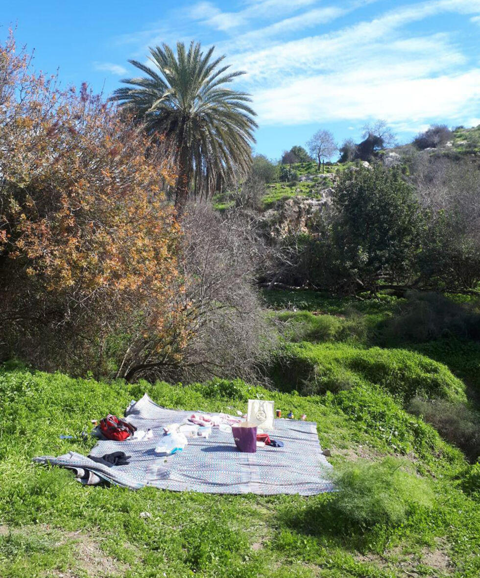 Фото: Мели Азран (צילום: מלי עזרן) Фото: Мели Азран