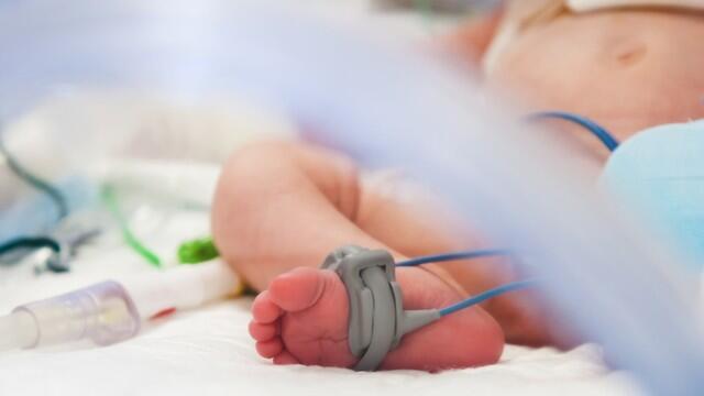 Фото: shutterstock