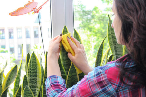 Фото: shutterstock (Фото: shutterstock) Фото: shutterstock