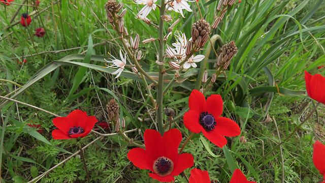 Фото: Шира Блох