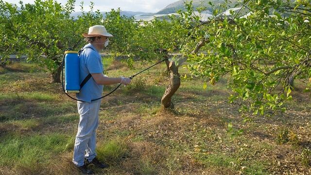 Фото: shutterstock (צילום: shutterstock) Фото: shutterstock