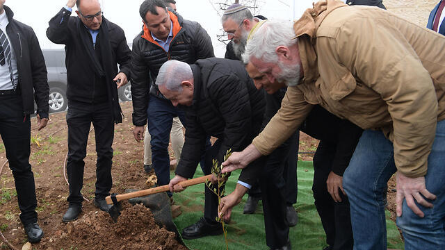 Netanyahu planting a tree in the former Netiv Ha'avot outpost (צילום: עמוס בן גרשום, לע"מ) Netanyahu planting a tree in the former Netiv Ha'avot outpost