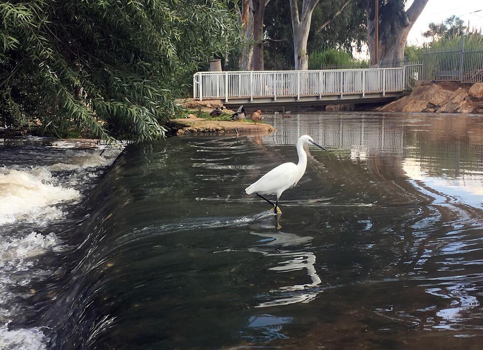 "7 мельниц" в парке Яркон. Фото: Гилад Кармели