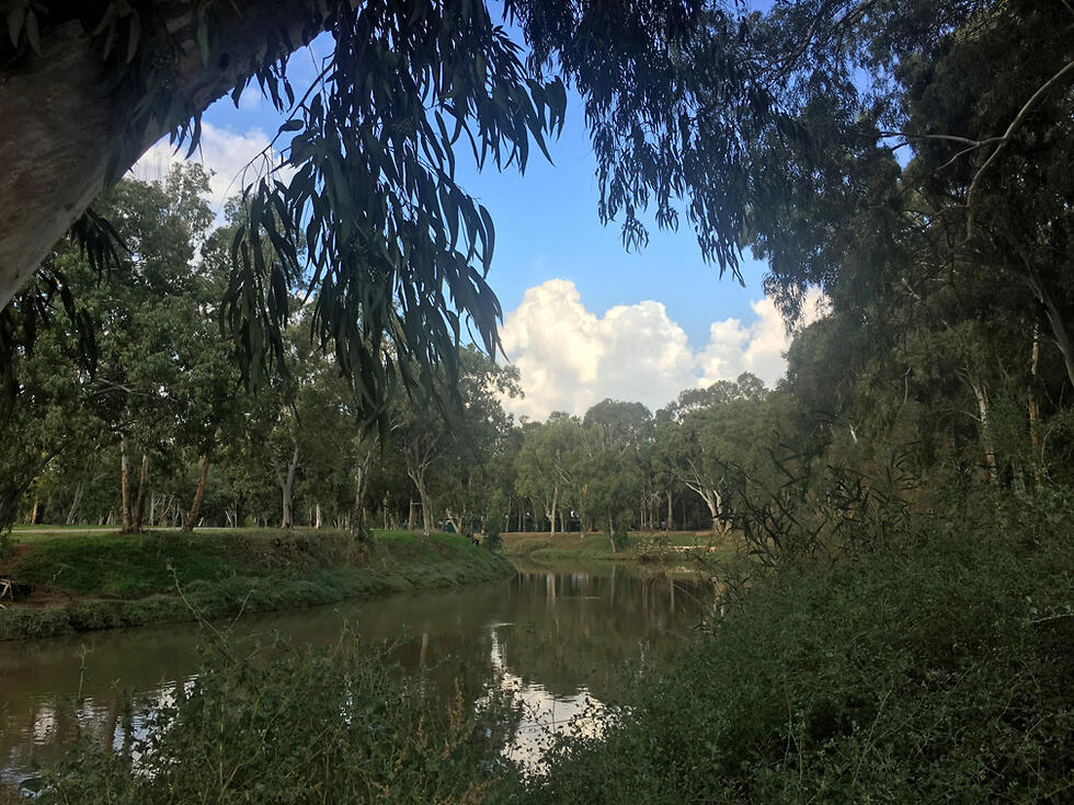 Дикая часть парка Яркон. Фото: Гилад Кармели