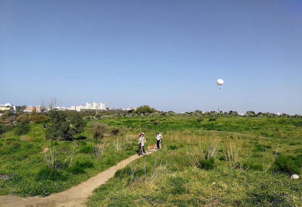 Холм Наполеона. Фото: Асаф Розен