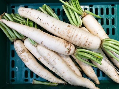 Фото: shutterstock