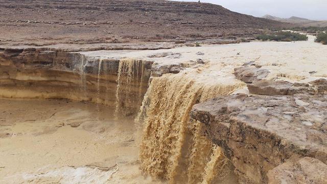 Yelek water holes in the Negev Desert (צילום: צור נצר רשות הטבע והגנים) Yelek water holes in the Negev Desert