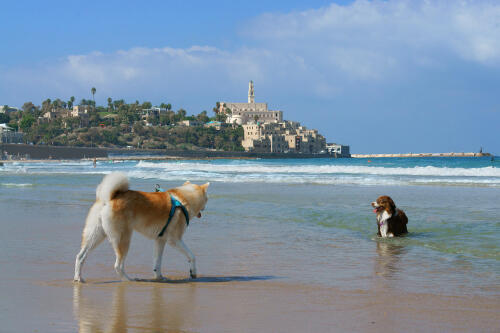 Фото: shutterstock
