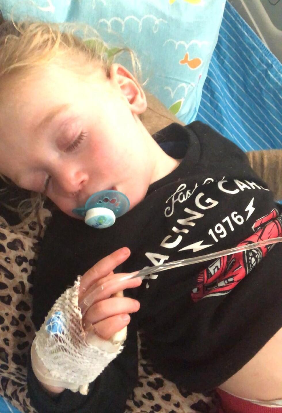 Фото: семейный архив (צילום: באדיבות המצולמים) Фото: семейный архив