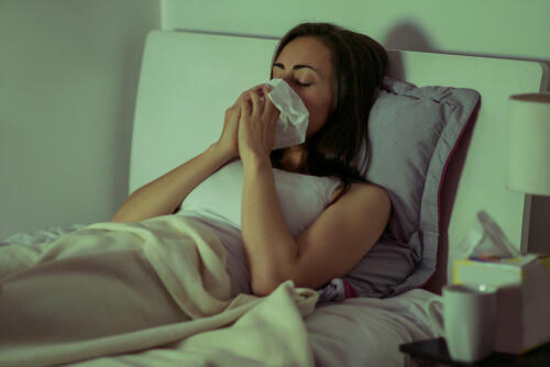 Фото: shutterstock