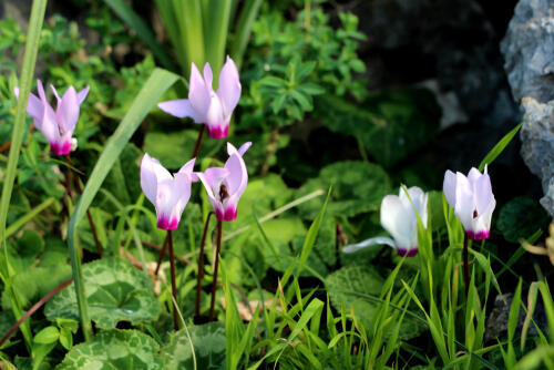 Фото: shutterstock (Фото: shutterstock) Фото: shutterstock