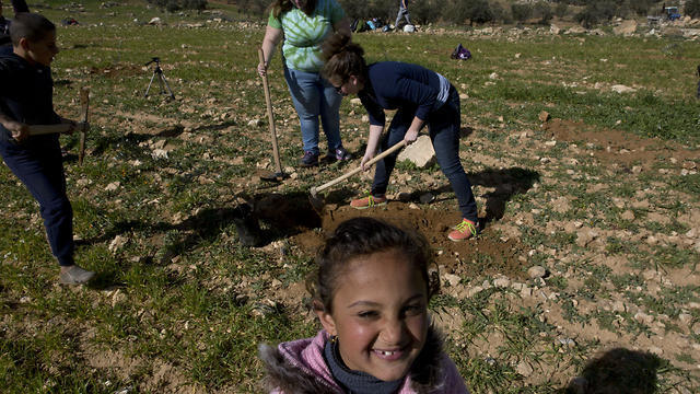 American rabbinical students plant olive trees, near the West Bank village of Attuwani, south of Hebron (Photo: AP) American rabbinical students plant olive trees, near the West Bank village of Attuwani, south of Hebron
