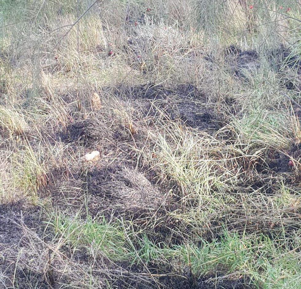 Firecracker lands in Sha'ar HaNegev Regional Council nullnull Firecracker lands in Sha'ar HaNegev Regional Council