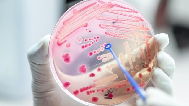 Фото: shutterstock