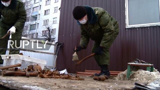 Ежедневно из могилы излекают по 40 скелетовnullnull Ежедневно из могилы излекают по 40 скелетов