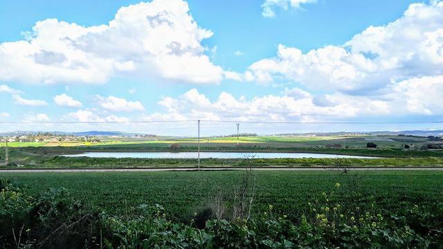 Warm weather in moshav Tal Shahar in central Israel