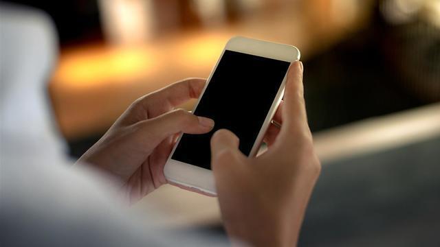 Иллюстрация: shutterstock (צילום: shutterstock) Иллюстрация: shutterstock