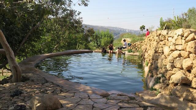 Эйн Лаван. Фото: Авраам Шакед (צילום: אברהם שקד) Эйн Лаван. Фото: Авраам Шакед