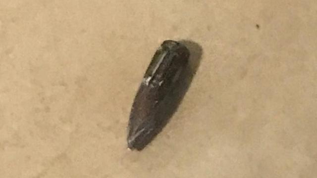Пуля, выпущенная по Натив ха-Асара. Фото: Итай Альмог