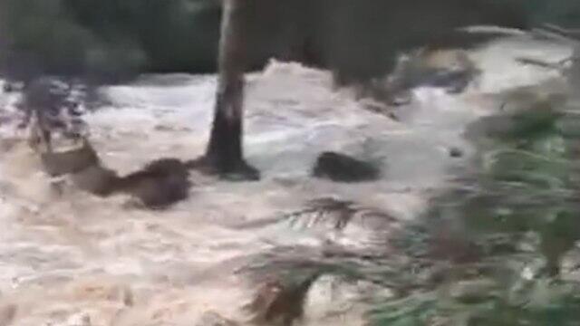 Течение в день трагедии