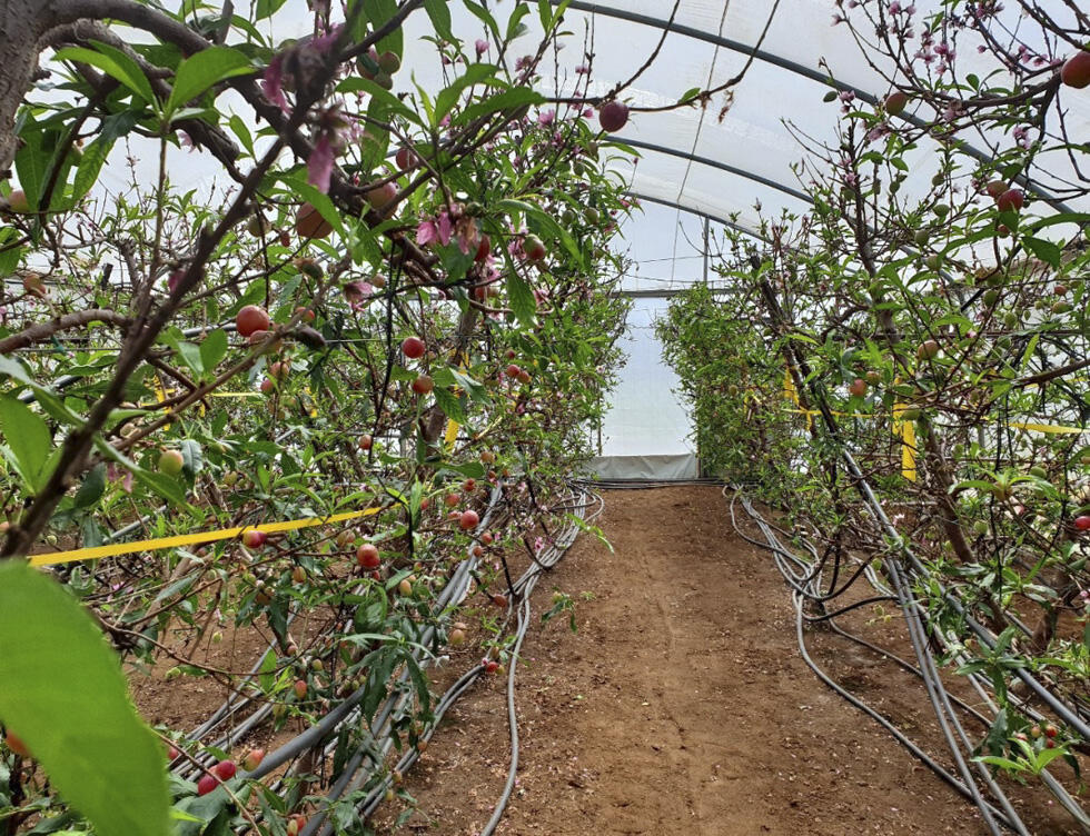 Фото: пресс-служба