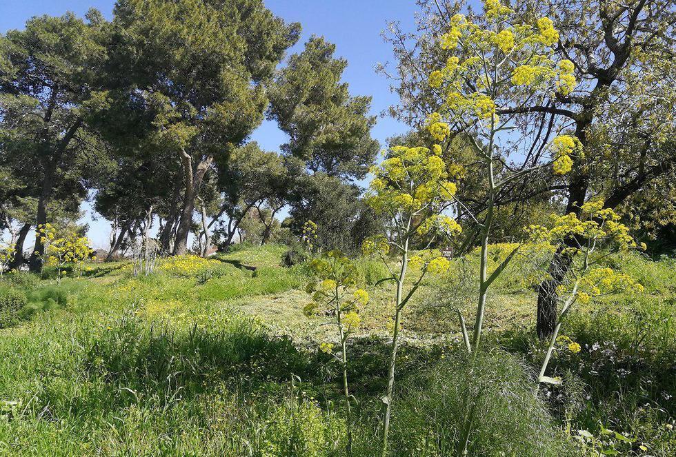 Закрытый маршрут в Кфар-Шмарьягу. Фото: Асаф Розен