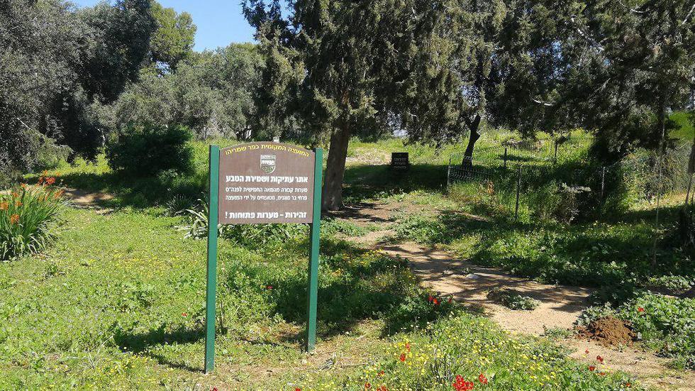 Закрытый маршрут в Кфар-Шмарьягу. Фото: Асаф Розен