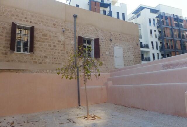 Отреставрированная "бияра". Фото: Леон Левитас (Фото: Леон Левитас) Отреставрированная "бияра". Фото: Леон Левитас