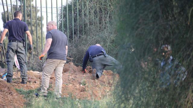 Фото: Моти Кимхи (צילום: מוטי קמחי) Фото: Моти Кимхи