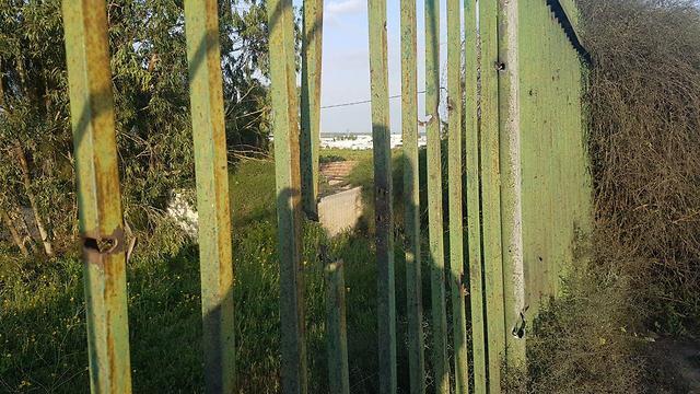 Фото: Моти Кимхи (צילום: מוטי קמחי) Фото: Моти Кимхи