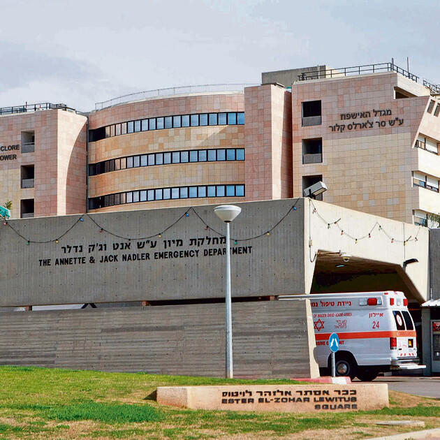 Новая больница расположится на территории "Шибы". Фото: Ярив Кац