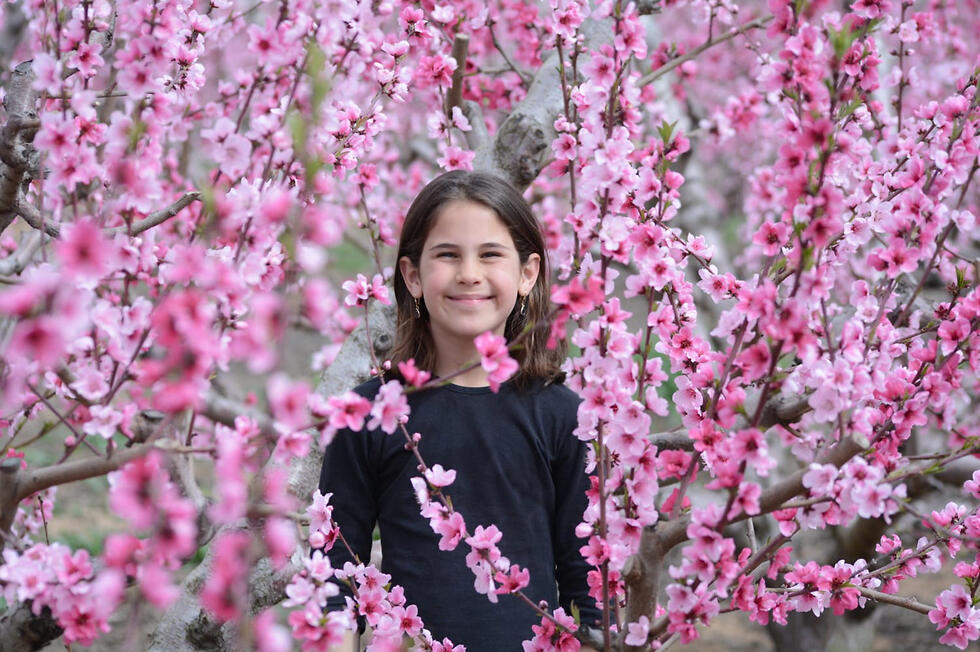 Цветение деревьев в лесу Ятир. Фото: Элазар Амити (צילום: אלעזר אמיתי) Цветение деревьев в лесу Ятир. Фото: Элазар Амити