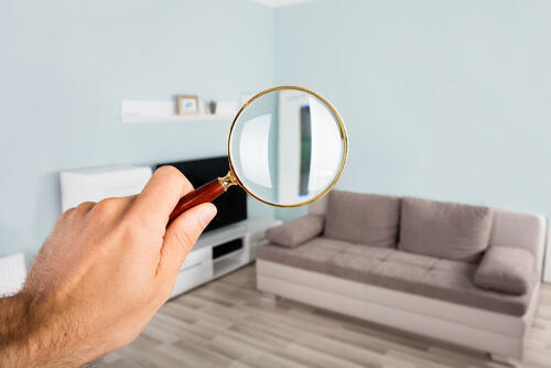 Фото: shutterstock