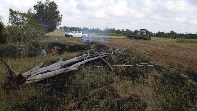 Пожар в приграничной полосе