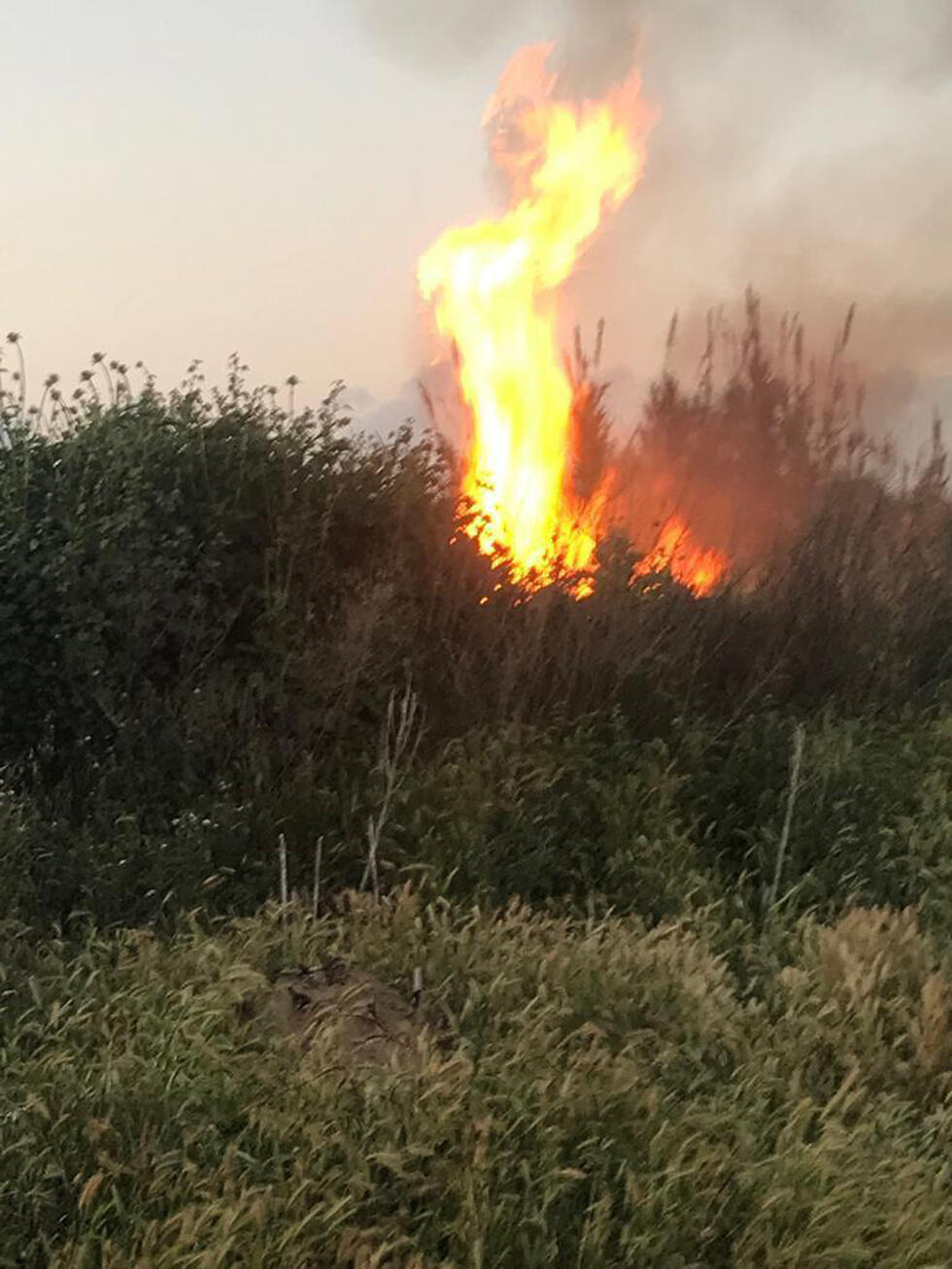 Пожар в приграничной полосе