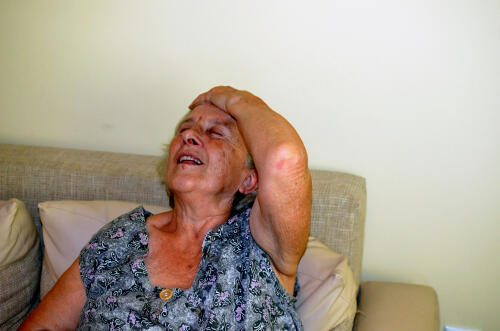 Фото: shutterstock (Фото: shutterstock) Фото: shutterstock