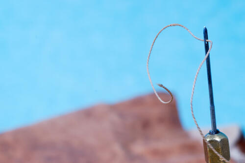 Фото: shutterstock