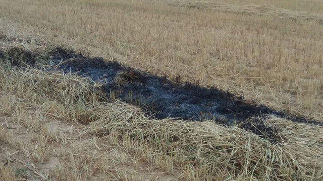 Пожар быстро потушили