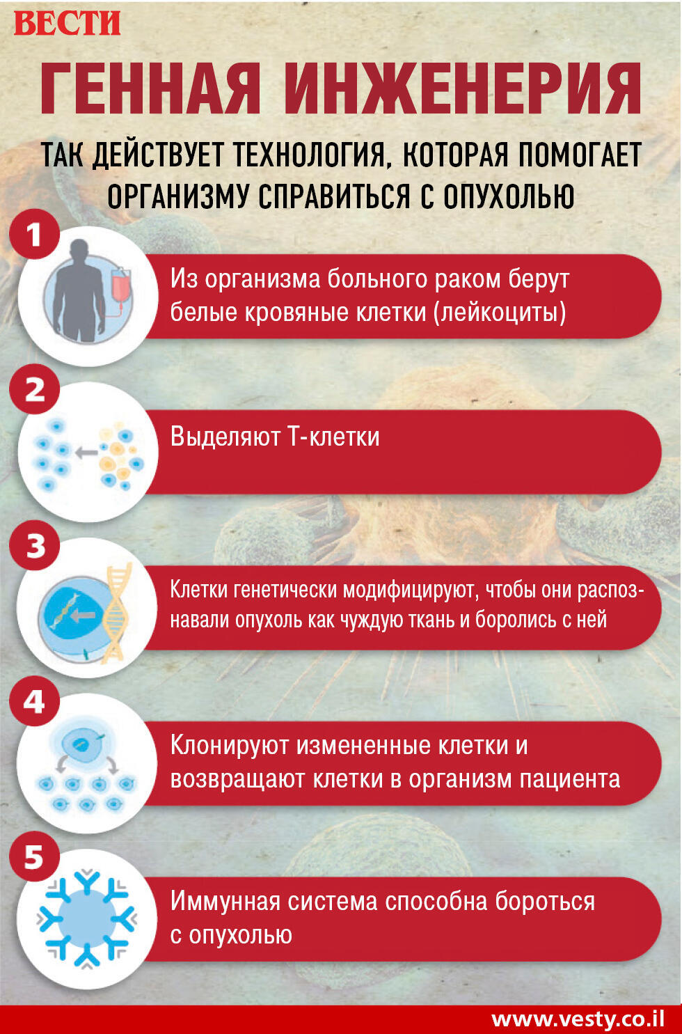 Так работает метод (Вести-Ynet) Так работает метод