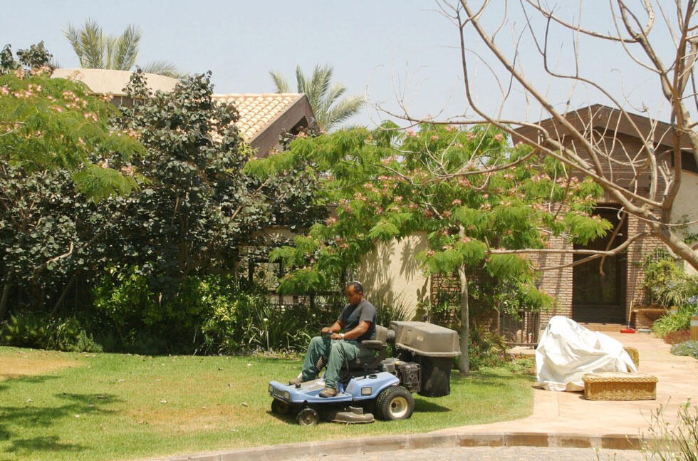 Дом Шери Арисон. Фото: Меир Партуш