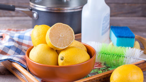 Фото: shutterstock