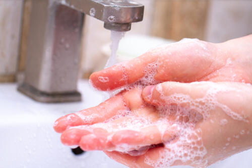 Фото: shutterstock (Фото: shutterstock) Фото: shutterstock